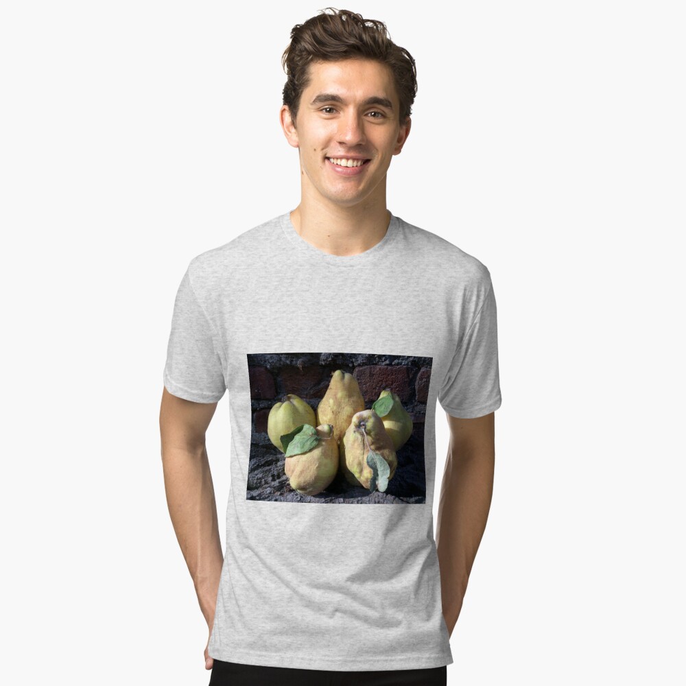 Artikel-Vorschau von Vintage T-Shirt, designt und verkauft von Gourmetkater.