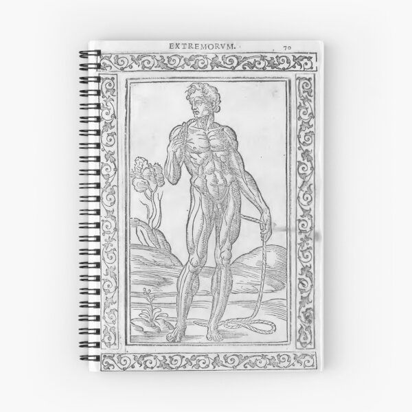 Item preview, 16th Century Anatomy designed and sold by spookdy.