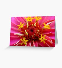 Macro Flower Greeting Card