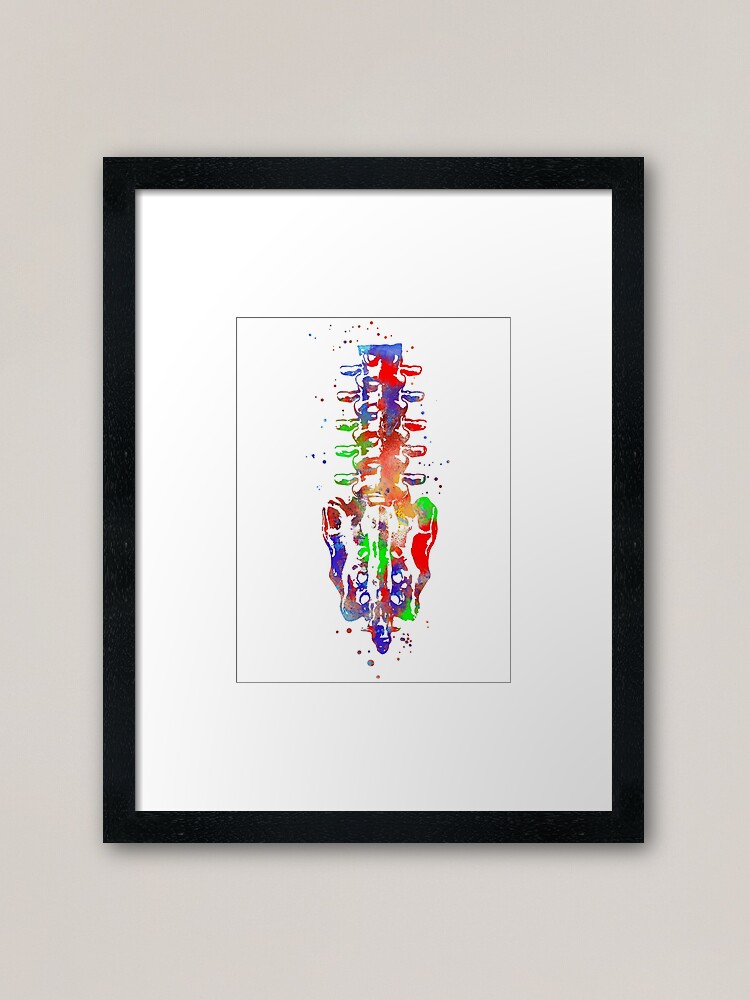 Sacrum and the Lumbar Spine, human anatomy, Sacrum anatomy, watercolor  Sacrum Throw Pillow for Sale by Rosaliartbook
