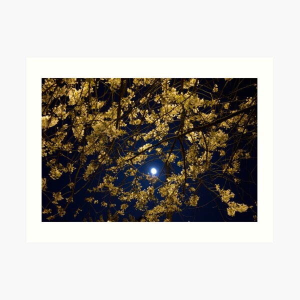 Night blossoms - horizontal Art Print