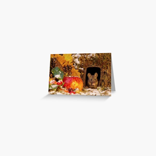 wild mouse feeling the cold Greeting Card