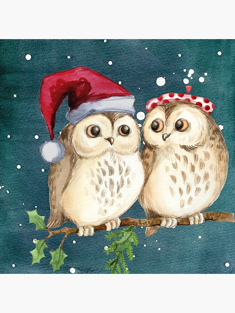 Cute Christmas Winter Owl Couple Painting\
