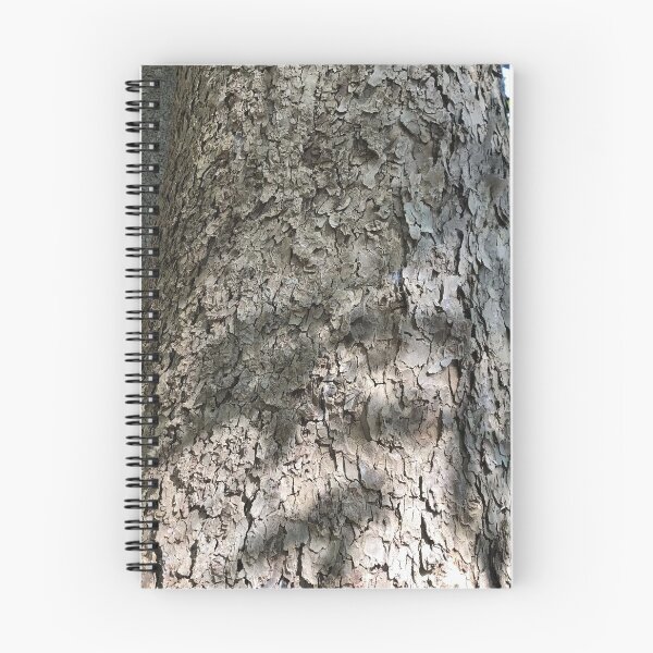 Item preview, Sycamore Tree Bark designed and sold by Cynthia  Soucy.