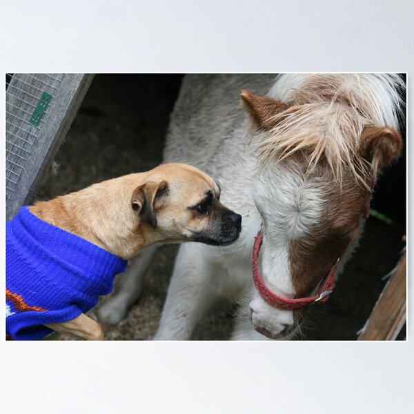 Item preview, Logan’s first encounter with a horse designed and sold by lulisa.