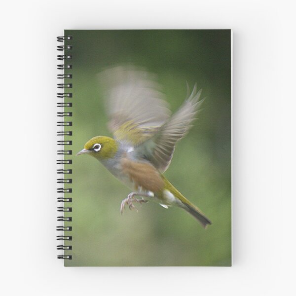 Item preview, Silver Eye........on the wing.......! designed and sold by Roy  Massicks.