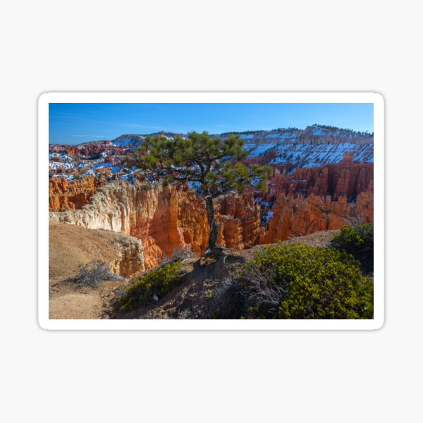 Bryce Canyon Close to the Edge Sticker