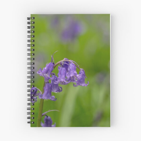 Item preview, Bluebell and Raindrops designed and sold by Judi Lion.