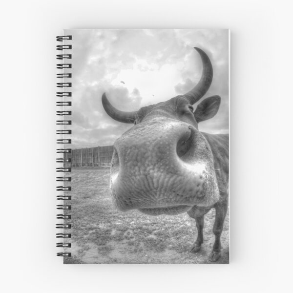 Item preview, Cow  designed and sold by Maggie Lowe.