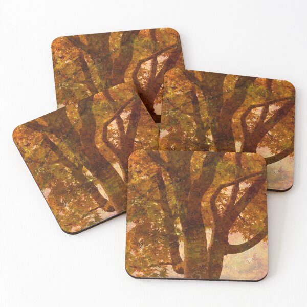 by my window Coasters (Set of 4)