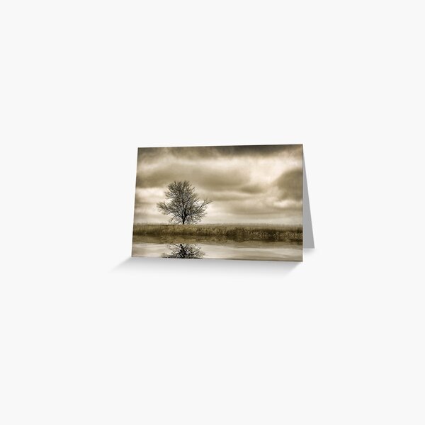 Item preview, Desolate designed and sold by Kelly Cavanaugh.