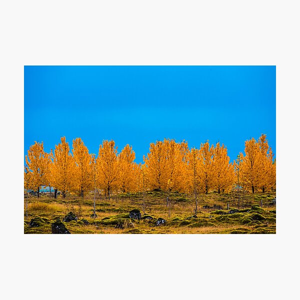 Item preview, Autumn In Iceland designed and sold by Adrian Alford Photography.