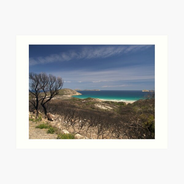 Whisky Bay, Wilsons Promontory. Art Print