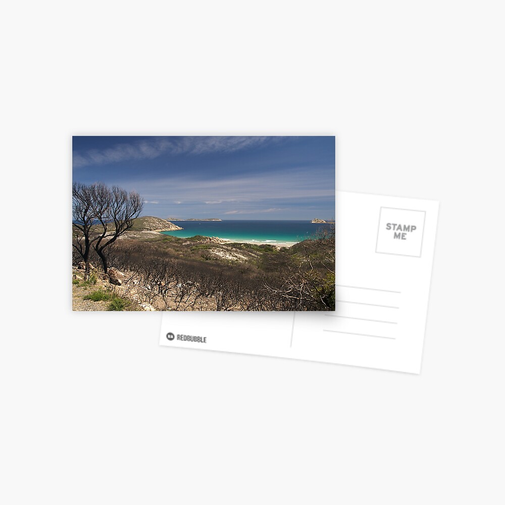 Item preview, Postcard designed and sold by johnrf.