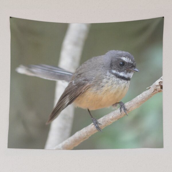 Item preview, Macleans Fantail -New Zealand Birds designed and sold by lizdomett.
