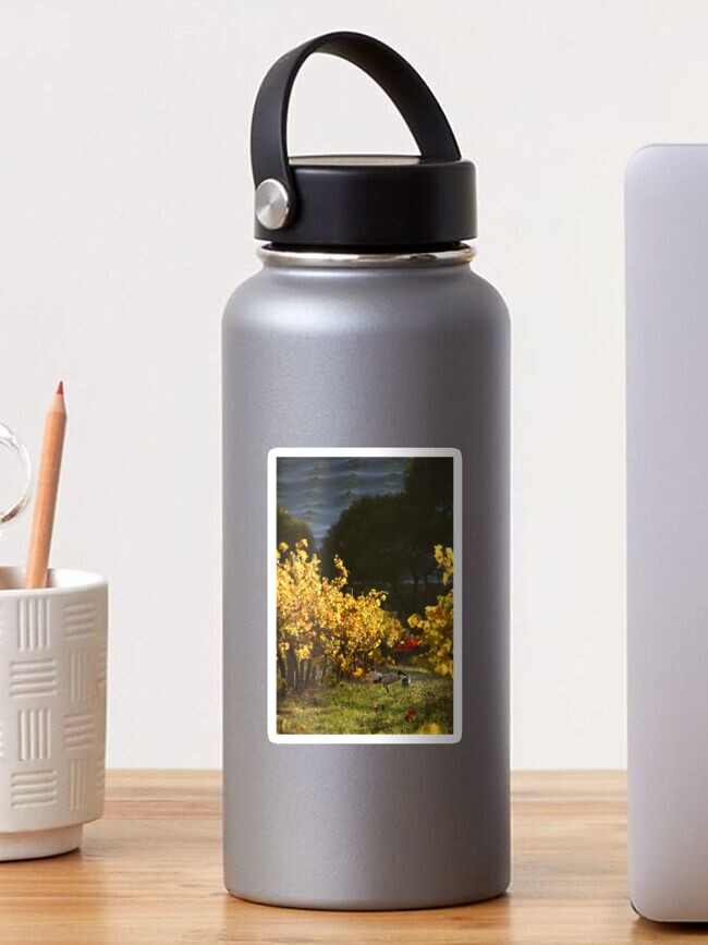 Thumbnail 1 of 3, Sticker, Ibis in the Vines - Magpie Springs - Adelaide Hills Wine Region - Fleurieu Peninsula - South Australia designed and sold by MagpieSprings.