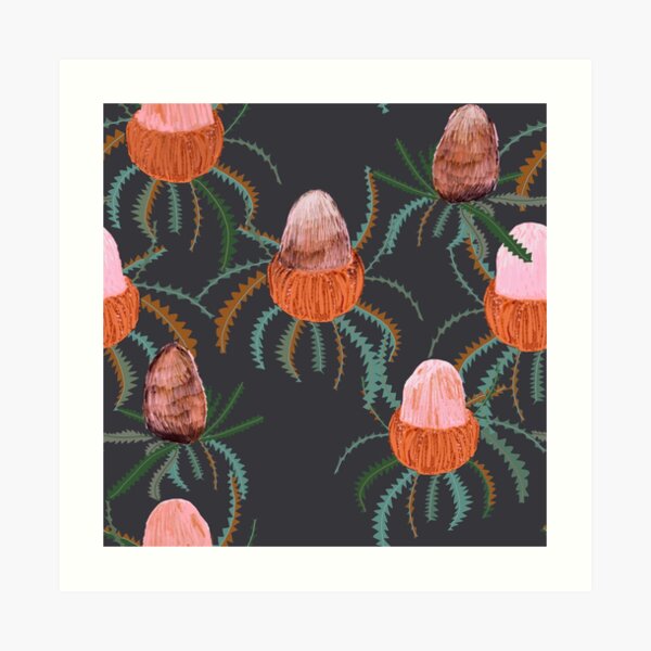 Banksia buds Art Print