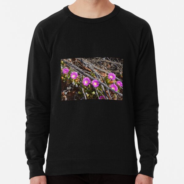 Item preview, Pigface, Carpobrotus glaucescens Australia designed and sold by Schoensl.