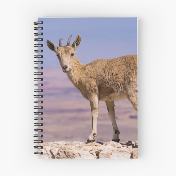 Item preview, Juvenile Nubian Ibex  by Uknown designed and sold by steve-1.