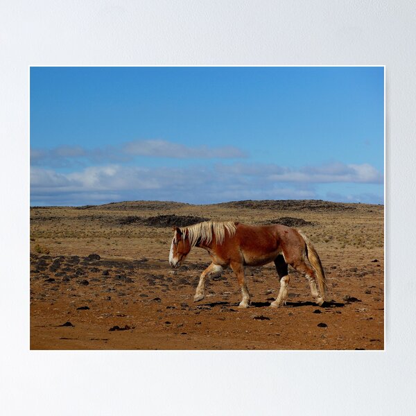 Item preview, Big Horse designed and sold by DanTheBugleMan.