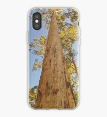 Eucalyptus iPhone-Hülle & Cover