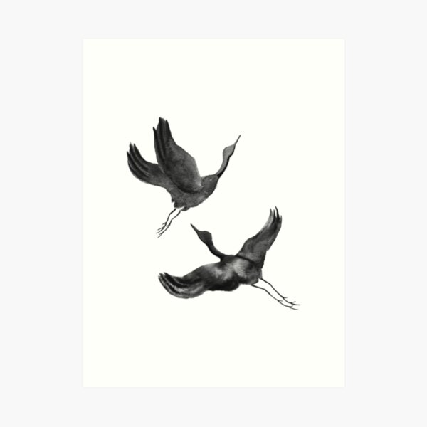 Flying Cranes Art Print