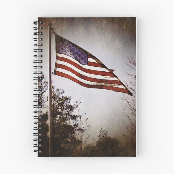 Item preview, Old Glory designed and sold by A.R. Williams.