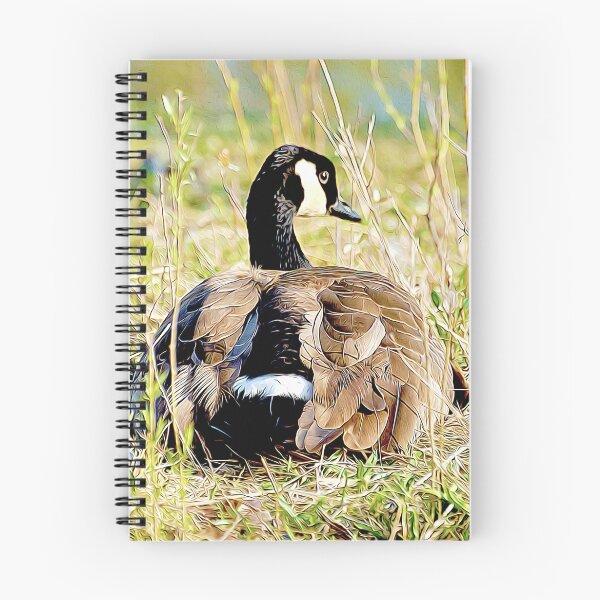 Item preview, Canadian Goose Nesting designed and sold by kimberpix.