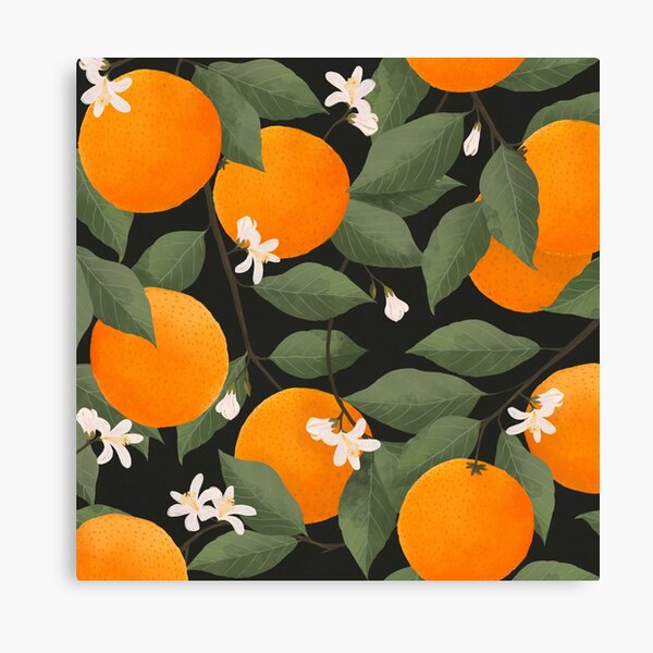 fresh citrus // dark Canvas Print