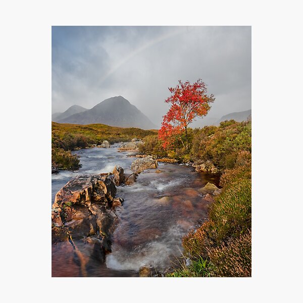 Autumnal Tree and the Buachaille Etive Mor Photographic Print
