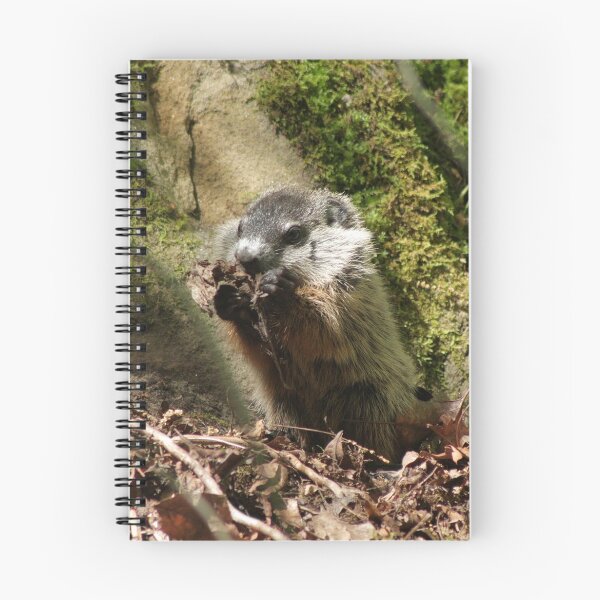Item preview, Groundhog designed and sold by Daniel Owens.