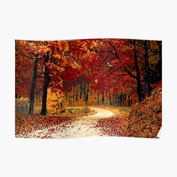 Autumn Leaves Poster