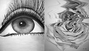 "Eye and Flower Diptych" by Mui-Ling Teh