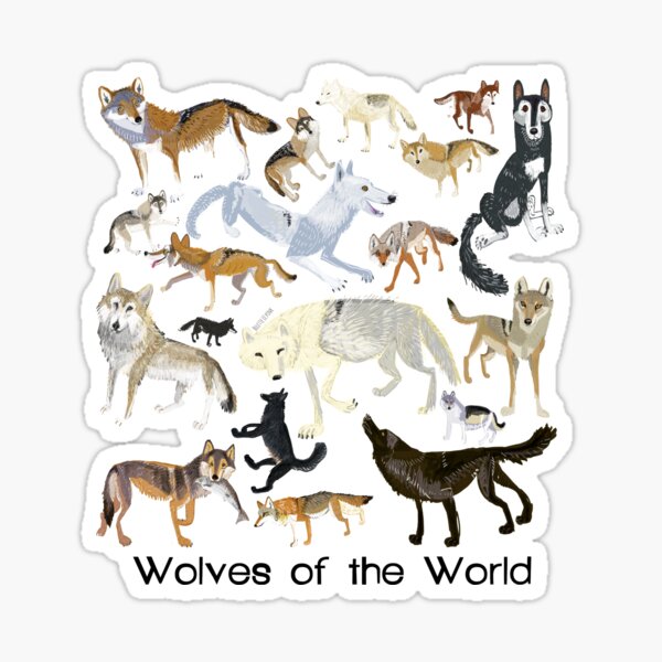 Wolves of the World (Green pattern) Sticker