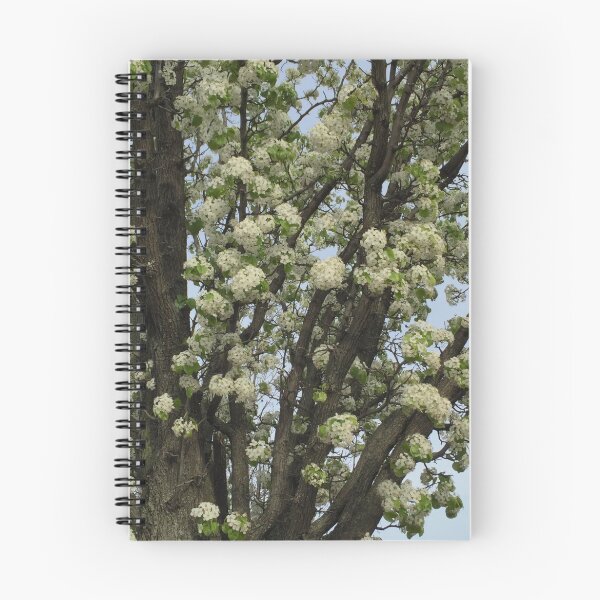 Item preview, Cherry Blossoms  designed and sold by carolxo.