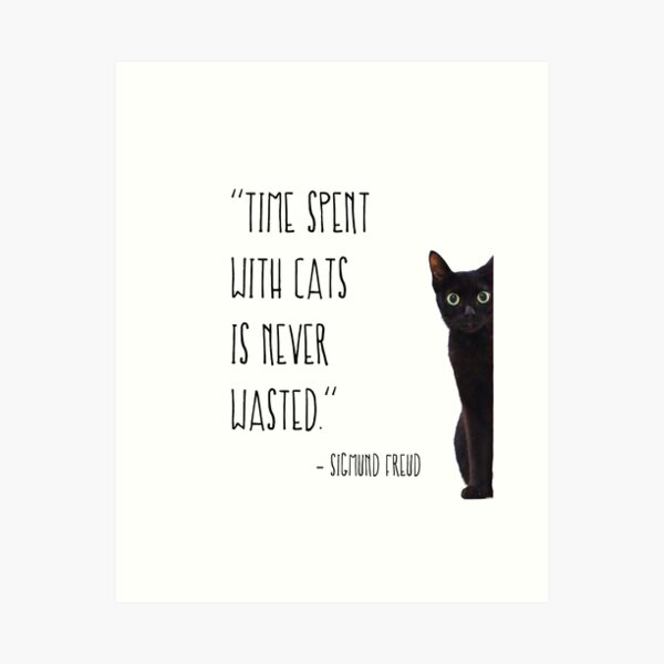 Time spent with cats is never wasted Art Print