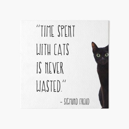 Time spent with cats is never wasted Art Board Print