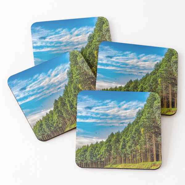 Item preview, Eucalyptus Tree Plantation designed and sold by Jensphotos.