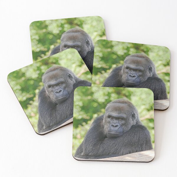 Item preview, r607 / finition 2022 : Gorilla atitude and Expression of a human - Okaio Créations Olavia - Olao designed and sold by o.okaïo.