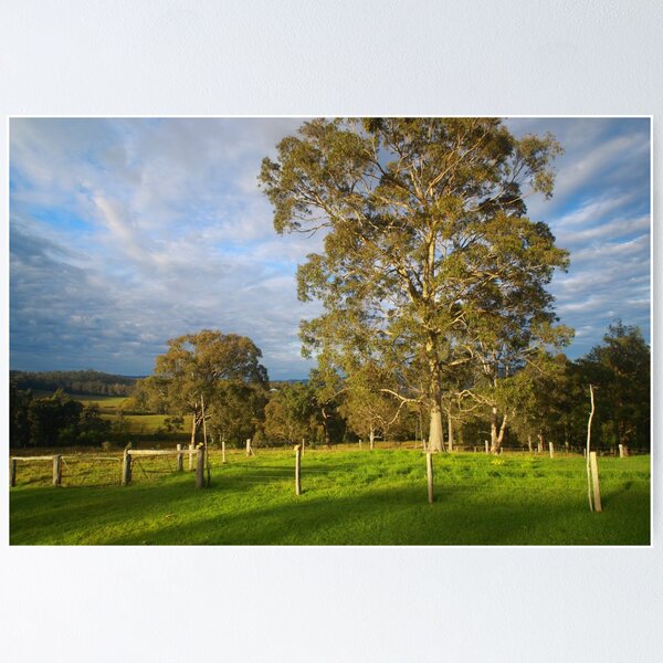 Item preview, Hunter Valley, NSW designed and sold by Chris Field.