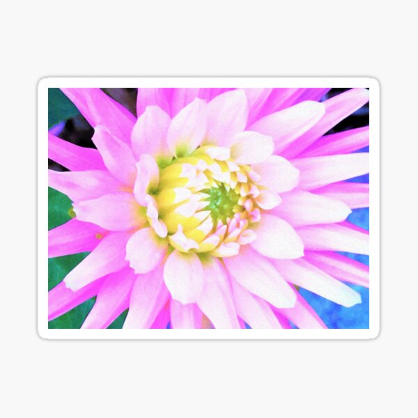 Item preview, Pretty Pink, White and Yellow Cactus Dahlia Macro designed and sold by myrubiogarden.