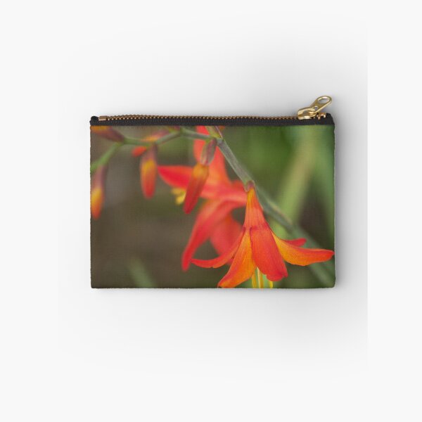 Item preview, Crocosmia designed and sold by Bob Hardy.