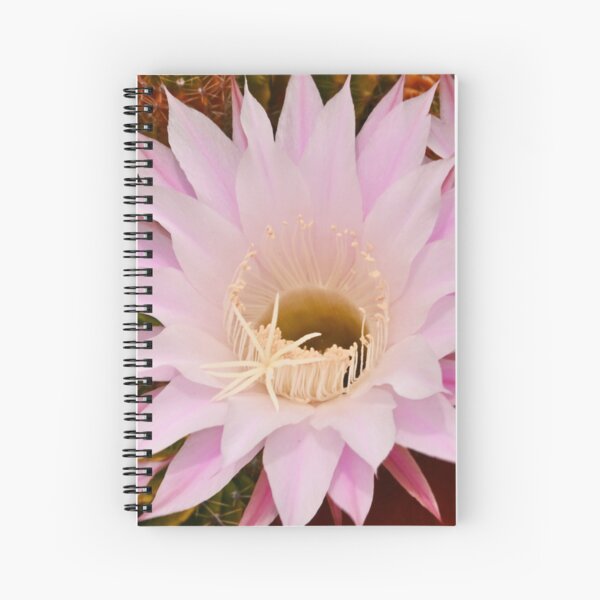 Cactus Flower in the Backyard Spiral Notebook
