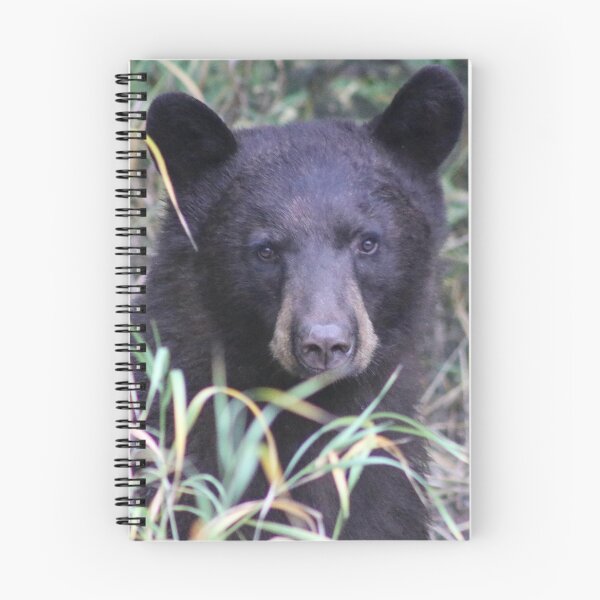 Item preview, Bear Time designed and sold by Rachel  Roderick.