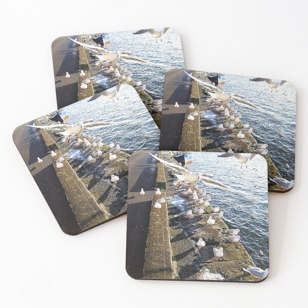 Item preview, Seagulls Galway City Ireland designed and sold by Thispoeticlife.