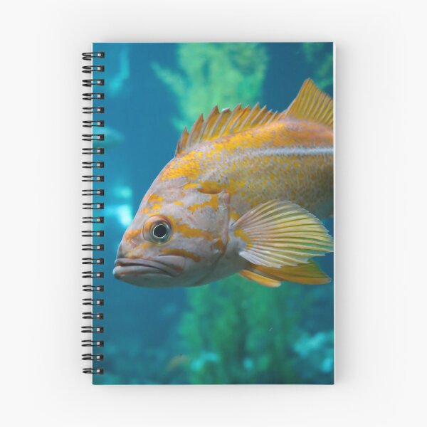 Item preview, Smirking Rock Fish designed and sold by Rachel  Roderick.