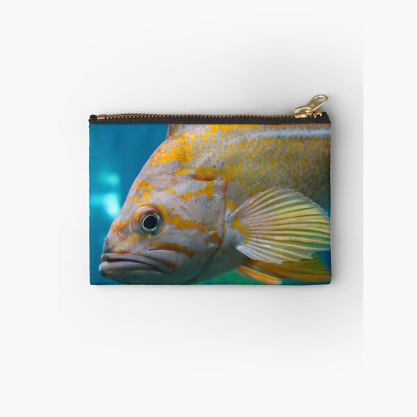Item preview, Smirking Rock Fish designed and sold by Rachel  Roderick.