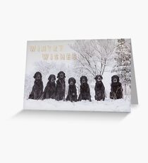Wintry Wishes Greeting Card