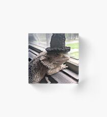 Portrait of the Smaug in a Top Hat, 2016 Acrylic Block
