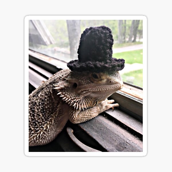 Item preview, Portrait of the Smaug in a Top Hat, 2016 designed and sold by Stephanie Fay.